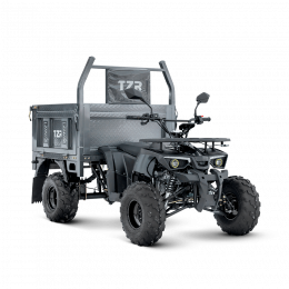 Грузовой квадроцикл TZR-0200 (4х4)