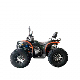 Квадроцикл TZR-300 (4x4)