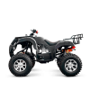 Квадроцикл TZR CLASSIC 200