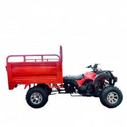 Грузовой квадроцикл TZR FARMER 250 LONG