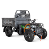 Грузовой квадроцикл TZR FARMER 300 4х4
