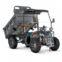Грузовой квадроцикл TZR-300 (4х4)